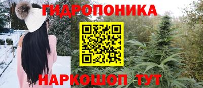 a pvp Кулебаки